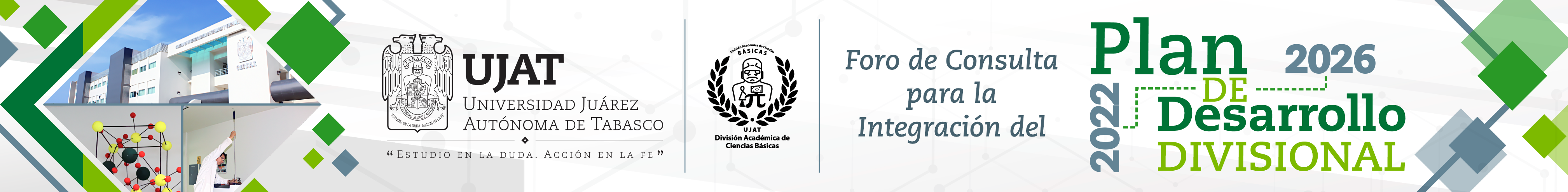 Index Foro De Consulta Para La Integraci N Del Pd